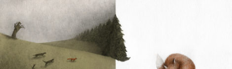I vincitori del 4° Concorso di illustrazione "Notte di Fiaba"