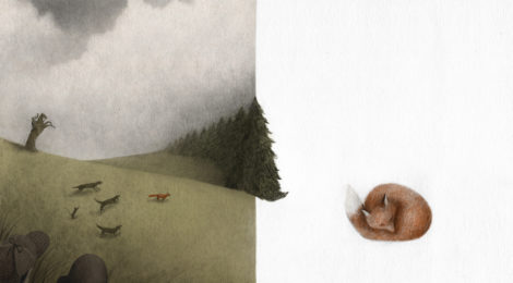 I vincitori del 4° Concorso di illustrazione "Notte di Fiaba"